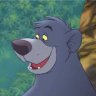 Baloo