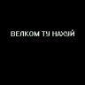 Ilya